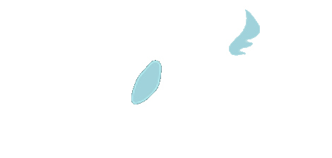 Moxie Salon & Beauty Bar